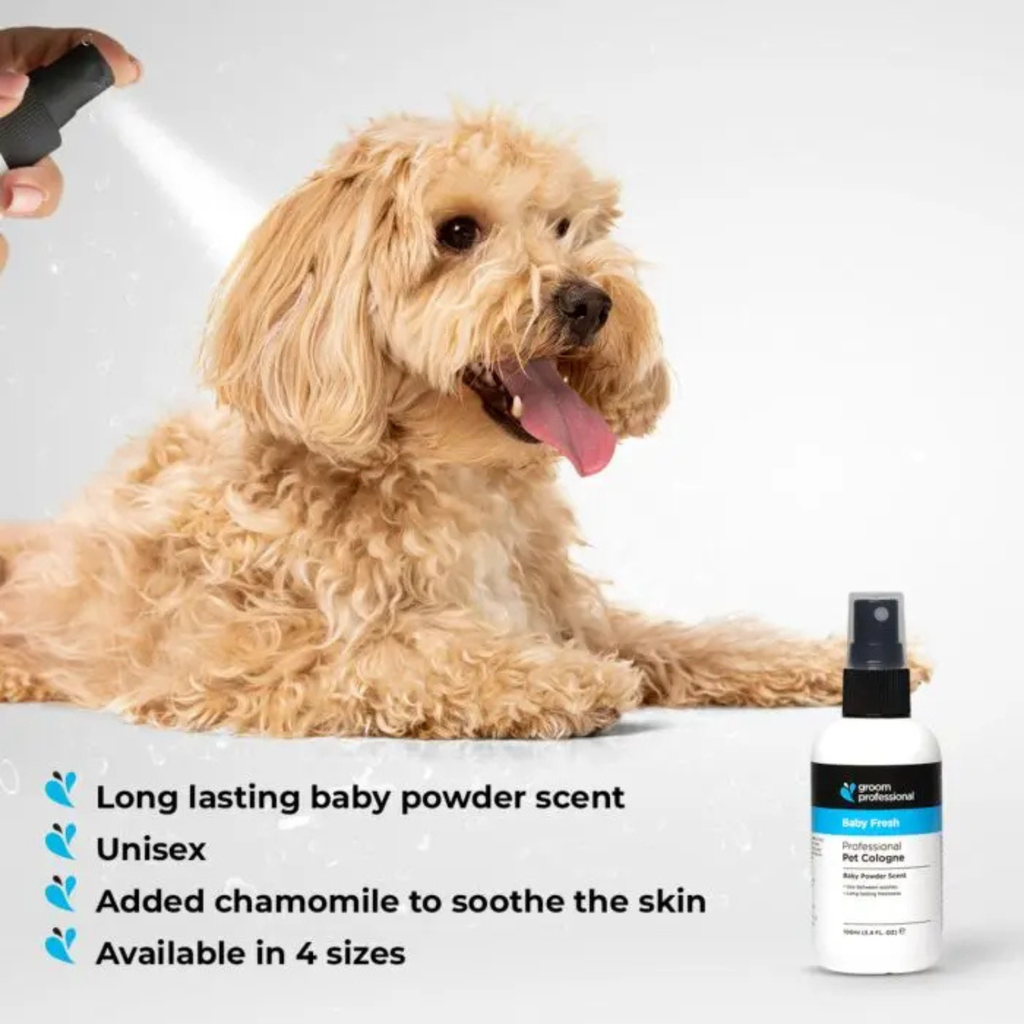 Groom Professional Baby Fresh Cologne (Perfume)-Baby Powder Scent-200ml ...